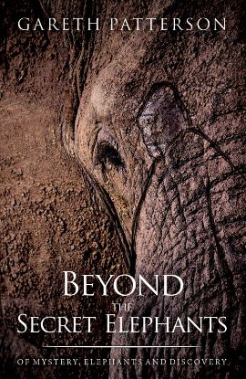 Picture of Beyond the Secret Elephants 