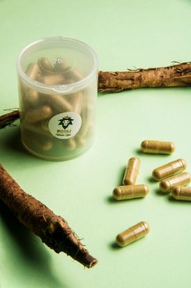 Picture of Yellow dock root